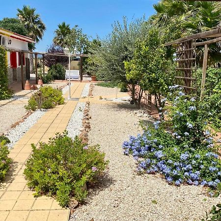 B&B Casa Azul Crevillent Eksteriør billede