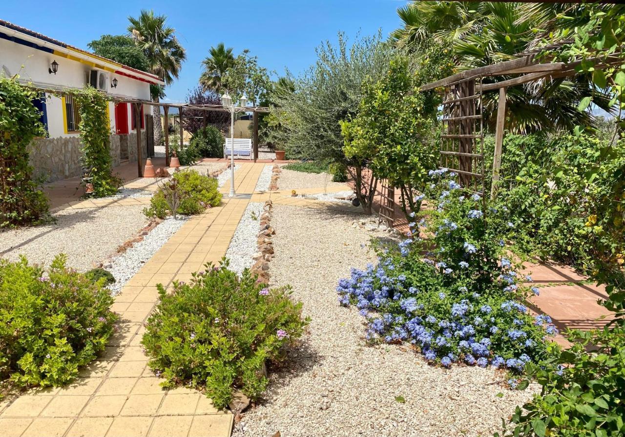 B&B Casa Azul Crevillent Eksteriør billede